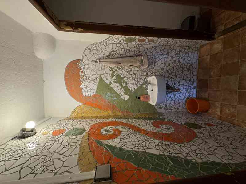 Zavedený rekreační objekt  1 148 m², 7 869 m² pozemky - foto 7