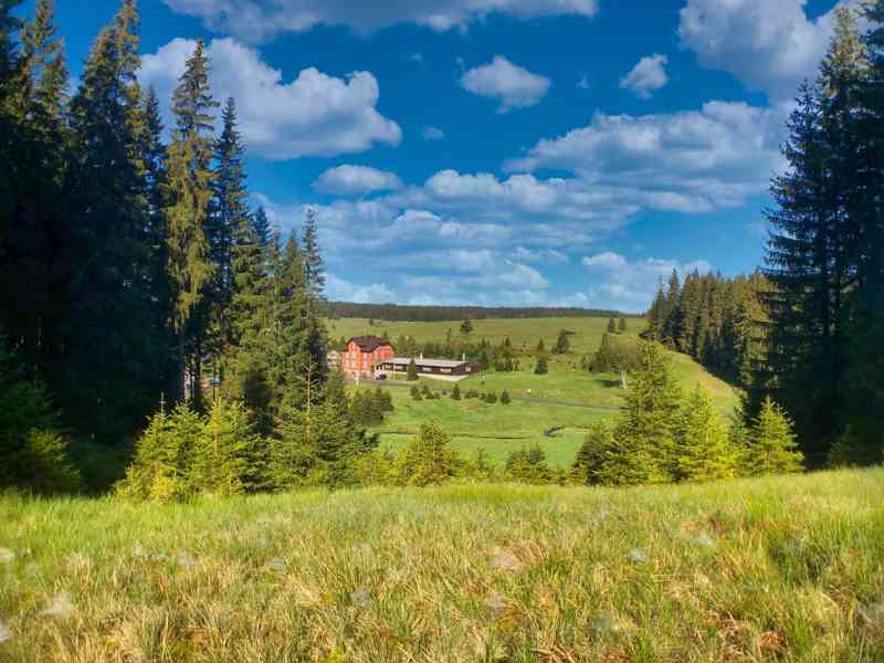 Zavedený rekreační objekt  1 148 m², 7 869 m² pozemky - foto 3