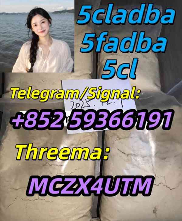 5CL-ADB Supplier 5cladba 5cladb Vendor On Sale Now