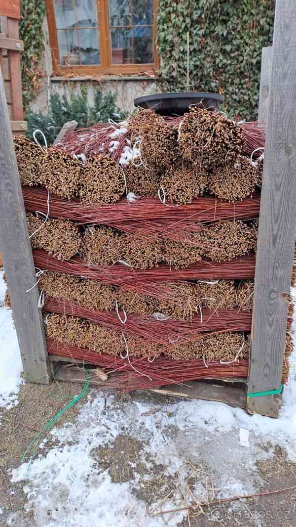 Proutí na košíky či pomlázky - foto 4