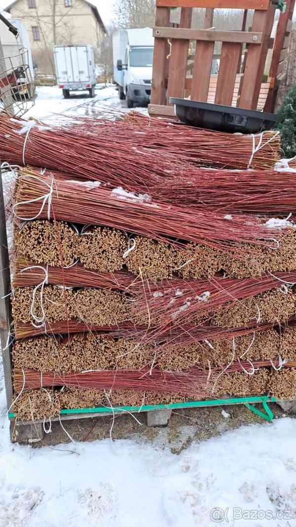 Proutí na košíky či pomlázky - foto 2