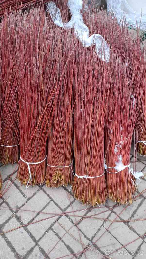 Proutí na košíky či pomlázky - foto 5