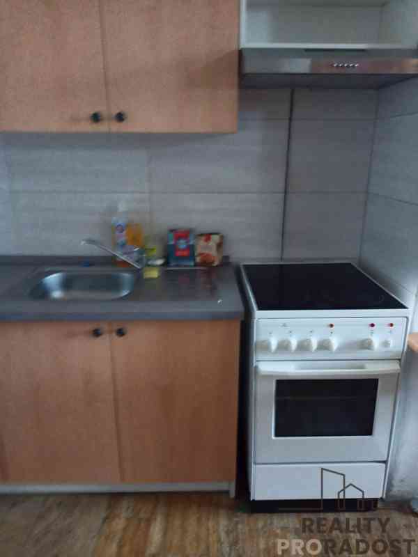 PRONÁJEM BYTU 1+KK 117m2 - VESELICE - VAVŘINEC  - foto 4