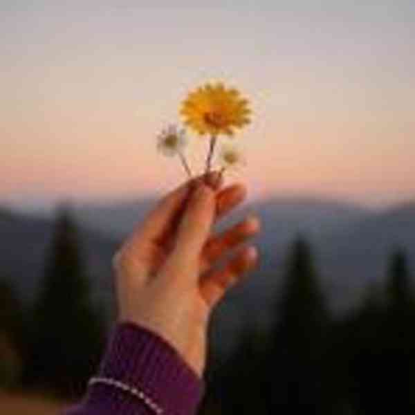 jut6deujyfg - foto 1