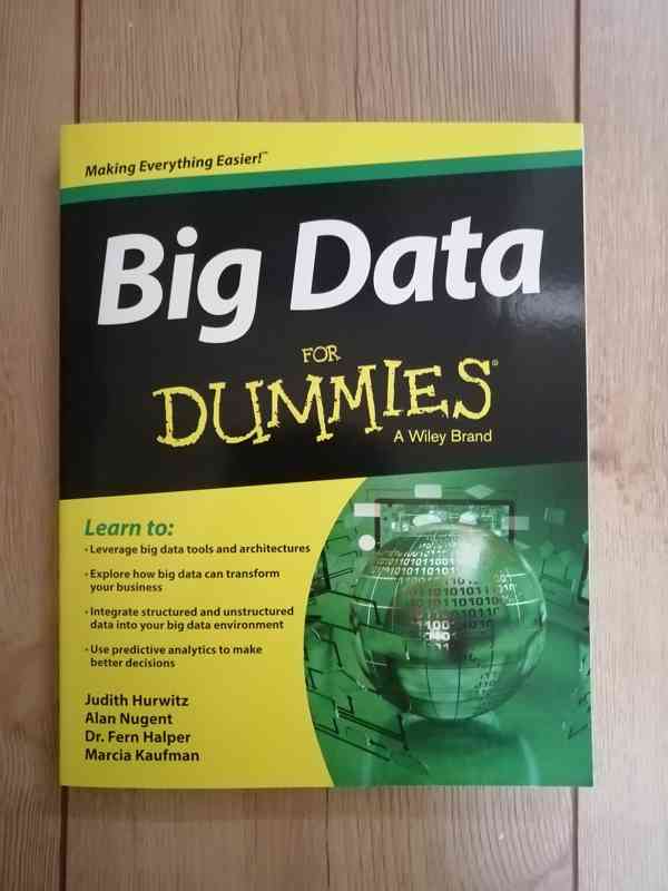 Prodám knihu Big data for dummies!  - foto 1