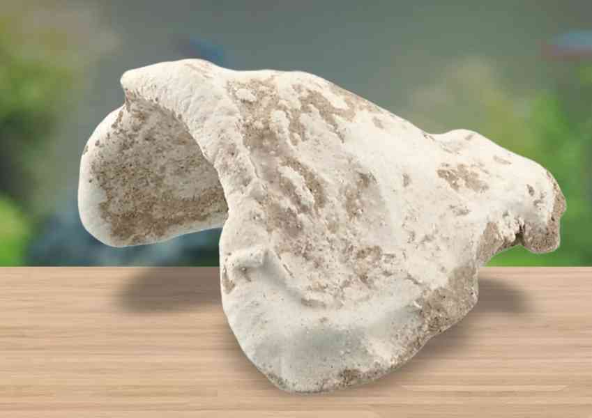 Terárium Repti Planet skl 50,5x30,5x25cm (starovací sada) - foto 6
