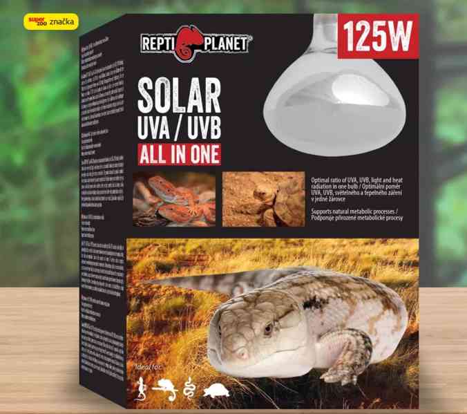Terárium Repti Planet skl 50,5x30,5x25cm (starovací sada) - foto 11