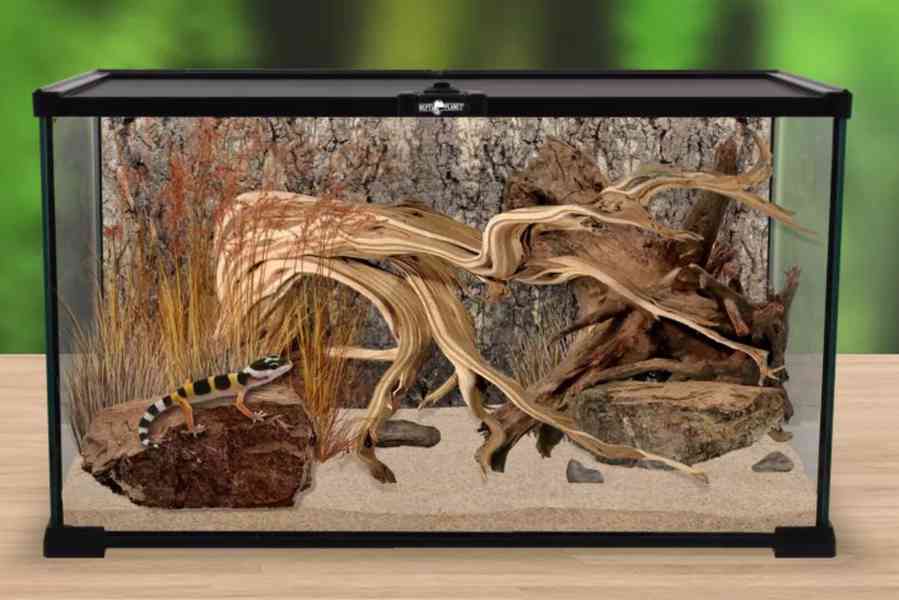 Terárium Repti Planet skl 50,5x30,5x25cm (starovací sada) - foto 10
