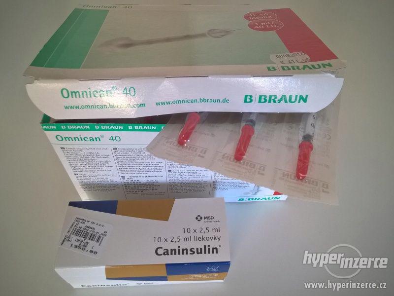 Caninsulin - foto 1