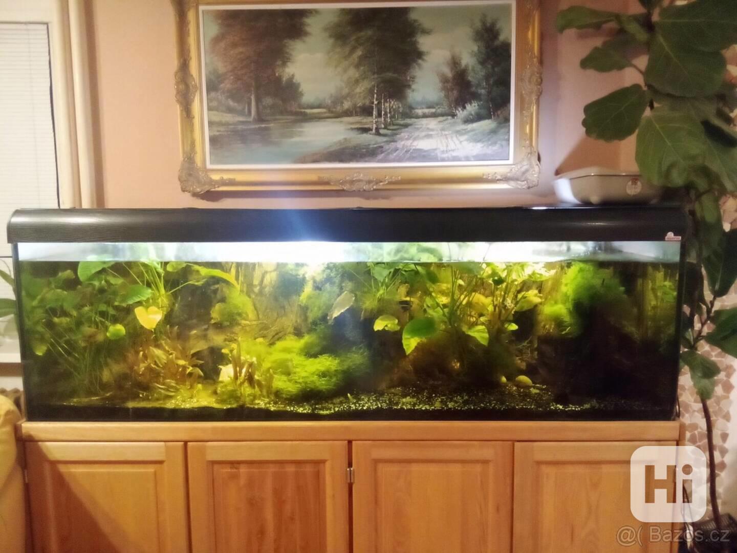 Plně vybavené obří akvárium s filtrem - foto 1