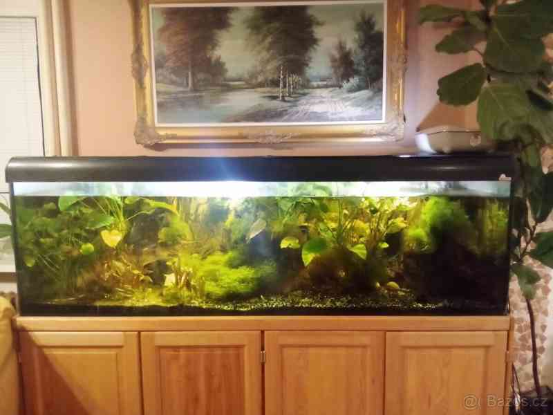 Plně vybavené obří akvárium s filtrem - foto 1