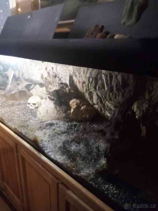 Plně vybavené obří akvárium s filtrem - foto 3