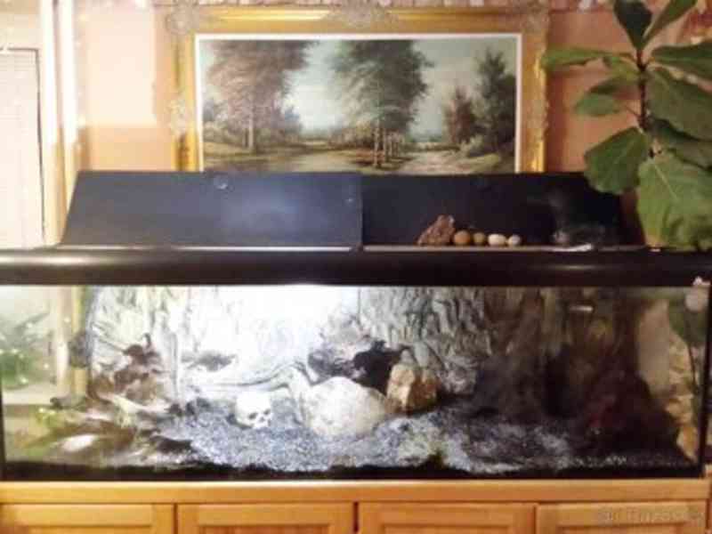 Plně vybavené obří akvárium s filtrem - foto 2