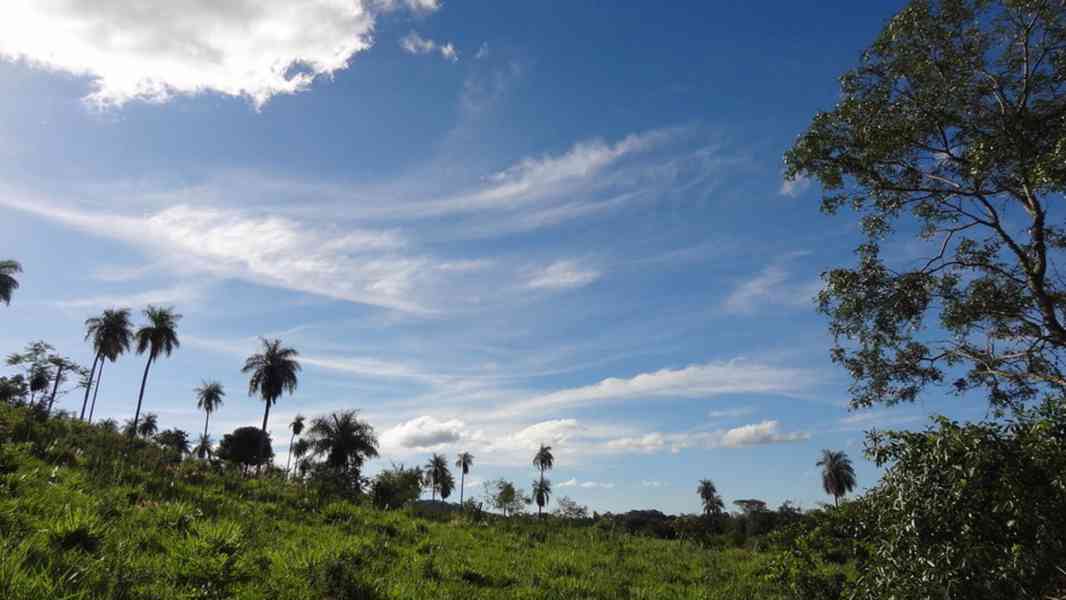 Finca mit großem Grundstück in ruhiger Lage in Sapucai / PY - foto 6