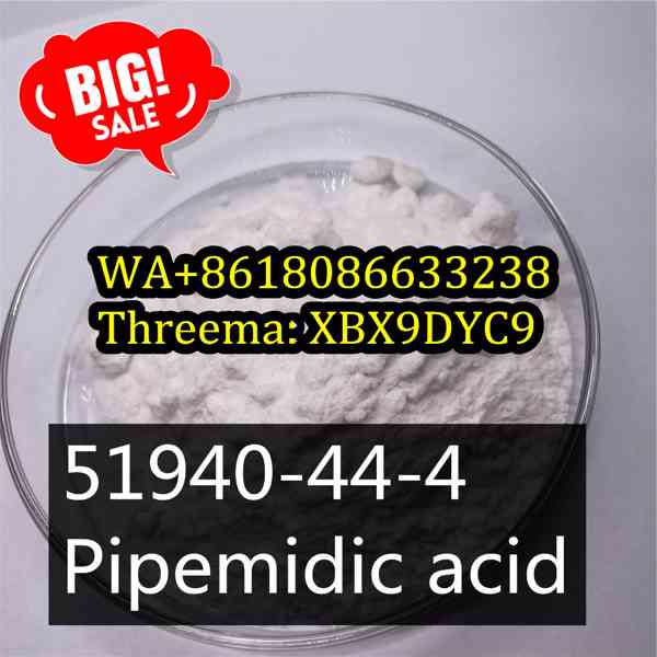 Buy 51940-44-4 China supplier,Pipemidic acid - foto 1