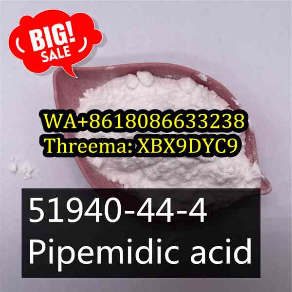 Buy 51940-44-4 China supplier,Pipemidic acid - foto 5