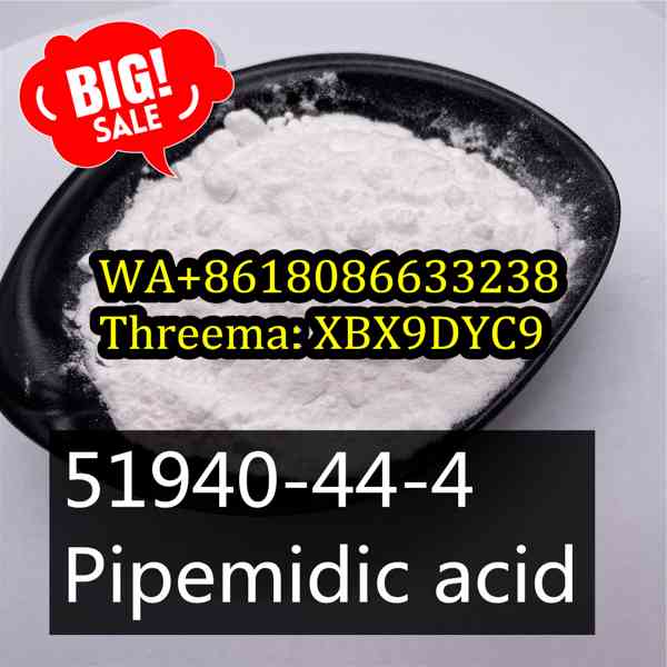 Buy 51940-44-4 China supplier,Pipemidic acid - foto 3