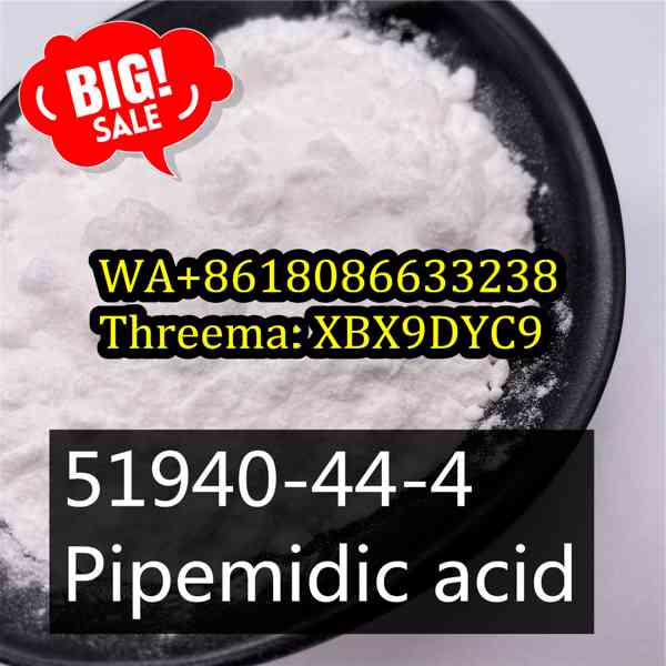 Buy 51940-44-4 China supplier,Pipemidic acid - foto 4