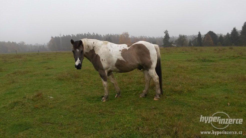 Vyjížďka na koni - foto 3