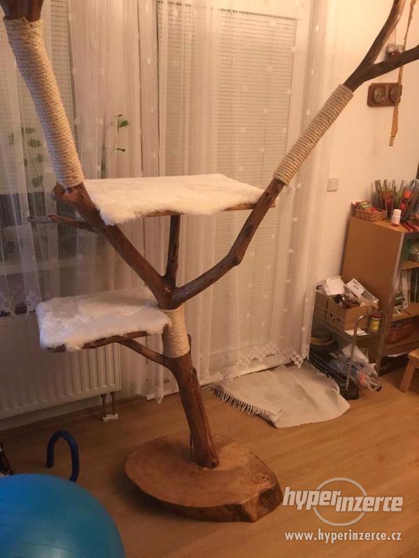 Nový kočičí strom z ořechu - ruční výroba - foto 2