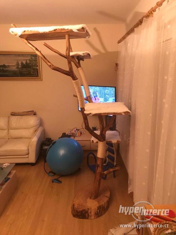 Nový kočičí strom z ořechu - ruční výroba - foto 4