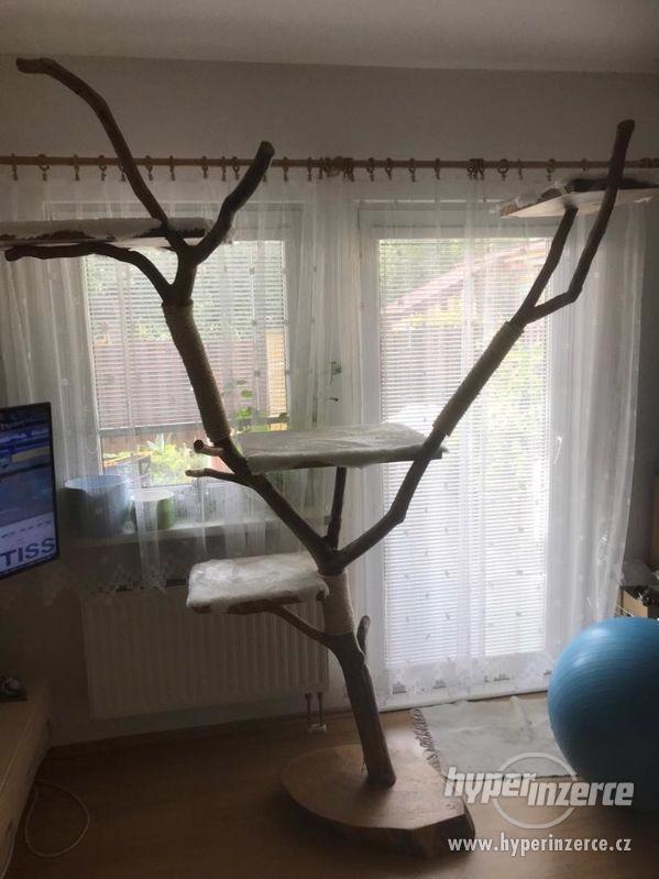 Nový kočičí strom z ořechu - ruční výroba - foto 5