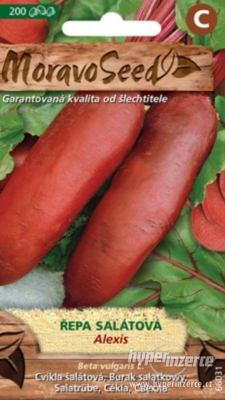 Řepa salátová - Alexis (semena) www.levna-semena.cz - foto 1