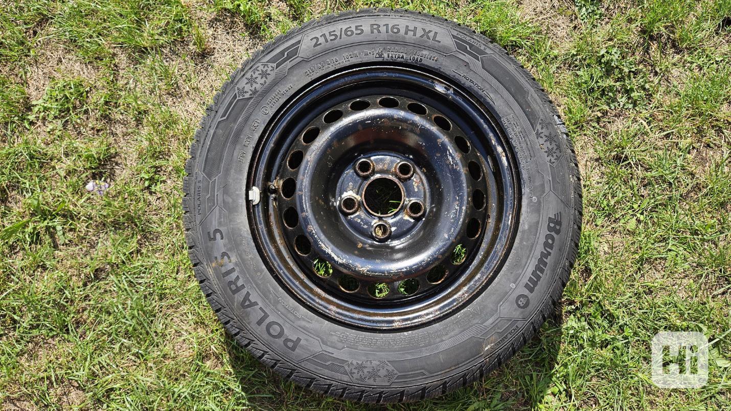 Barum Polaris 5 215/65R16 102 H XL disk VW Transporetr T5 T6 - foto 1