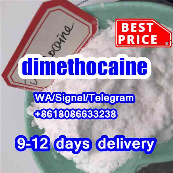 dimethocaine hcl larocaine 553-63-9 - foto 2