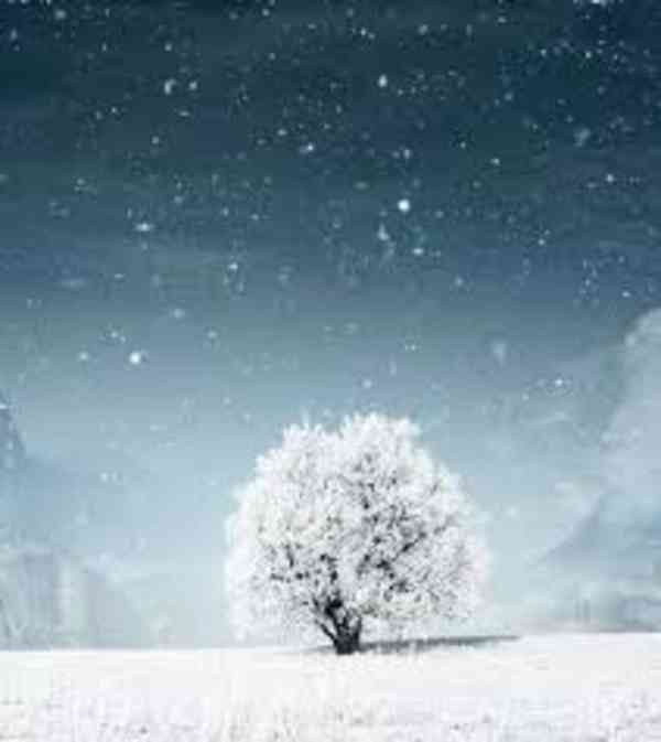 Úklid sněhu Černotín  - foto 1