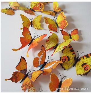 Dekorační 3D motýli - foto 9