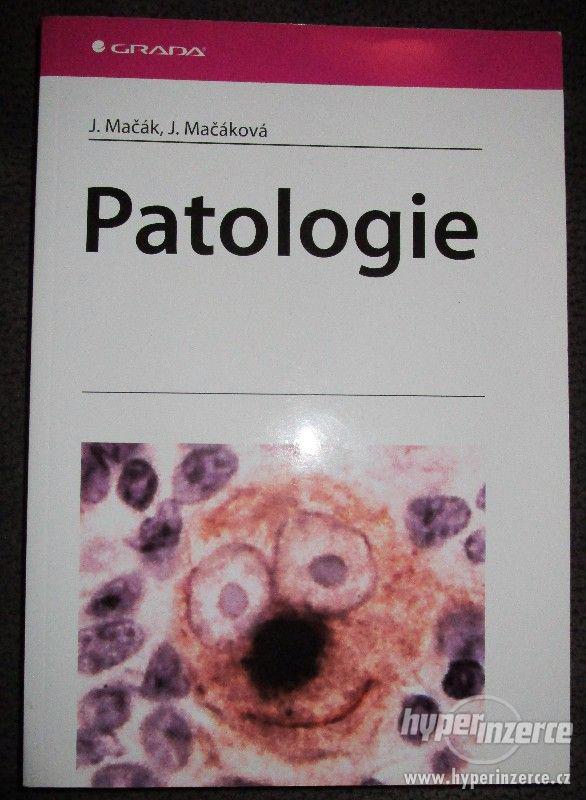 Patologie - foto 1