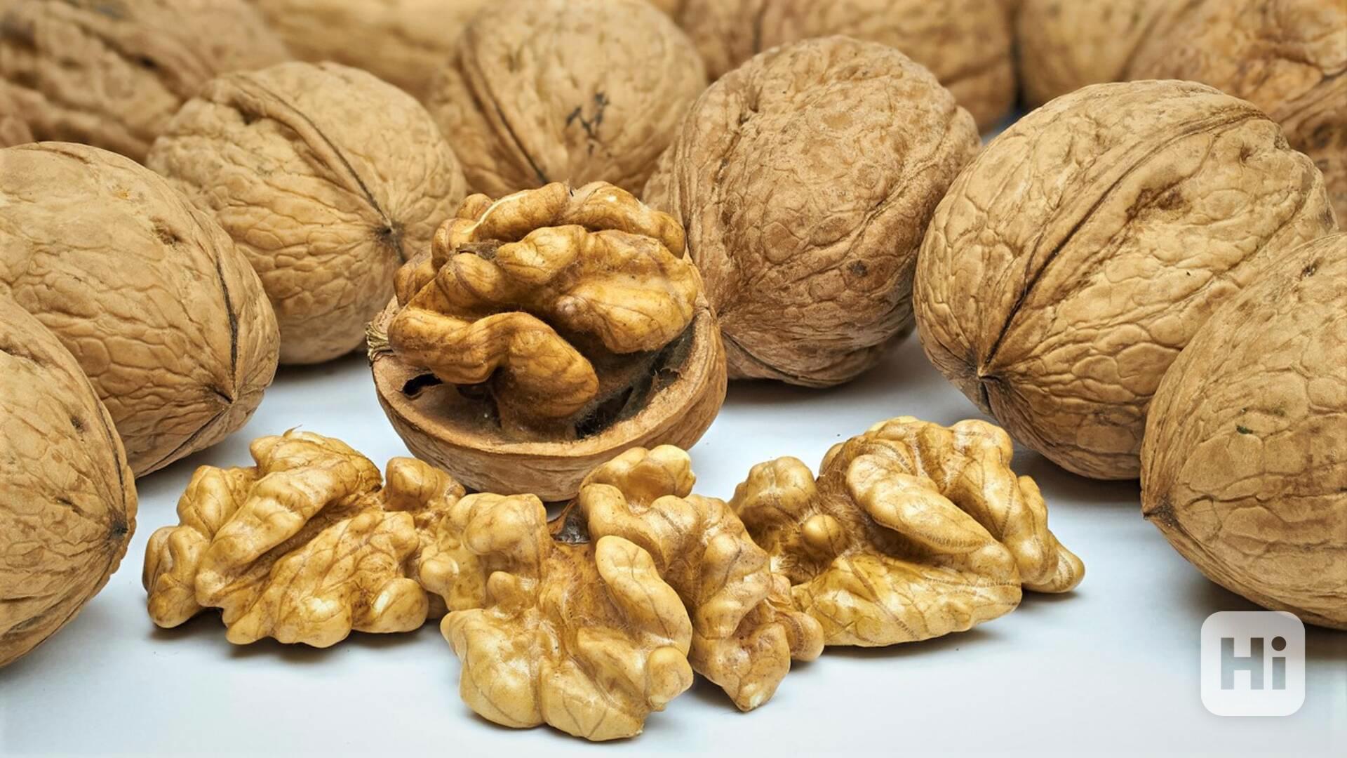 Ořechy  - foto 1