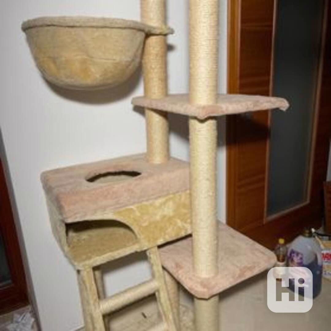 Kočičí věž - foto 1
