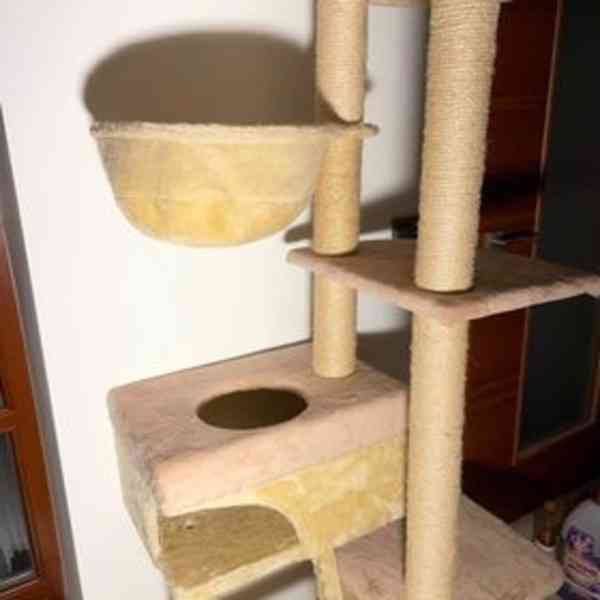 Kočičí věž - foto 7