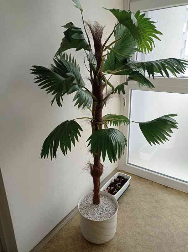 Dekorační palma - foto 1