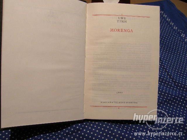 Morenga-světový sociální román - foto 2
