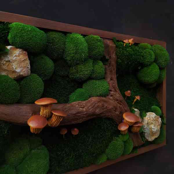 Mechový obraz / obraz ze stabilizovaného mechu - foto 3