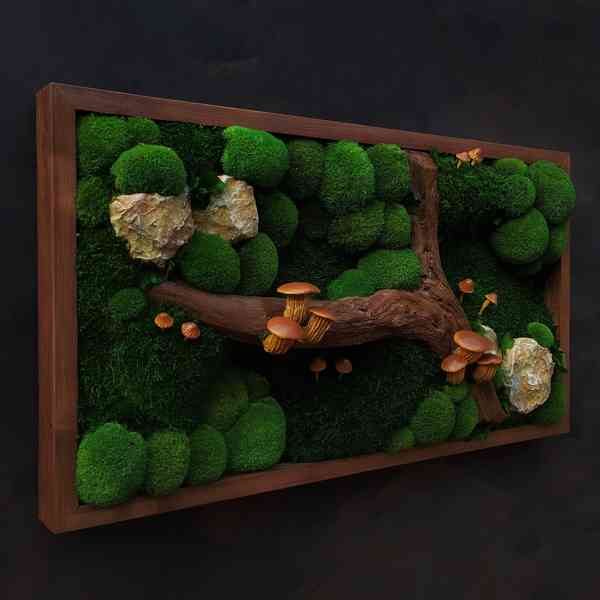 Mechový obraz / obraz ze stabilizovaného mechu - foto 2