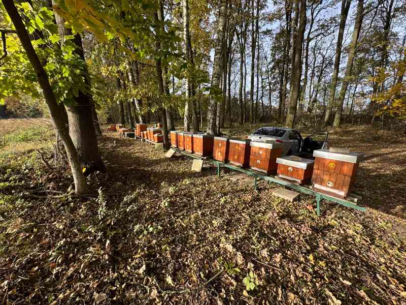 Včelí oddělky 39x24 - foto 3