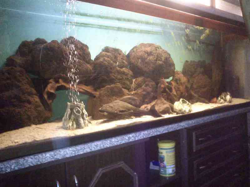 Lávové kameny, dekorace do akvária  - foto 6