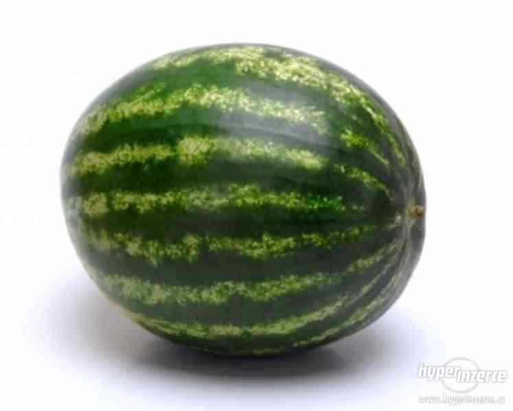 Meloun vodní Lajko - semena - foto 1