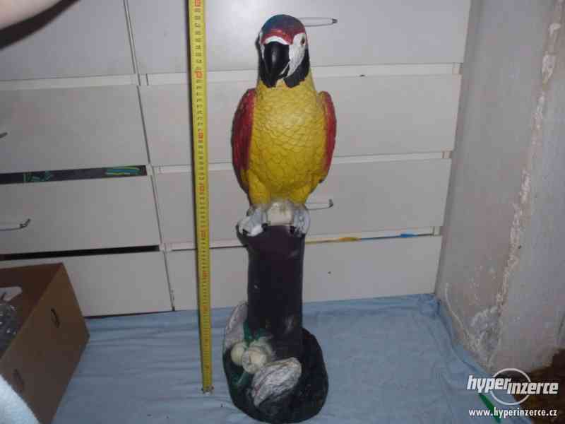 Velká socha papouška - foto 1