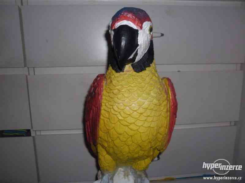 Velká socha papouška - foto 3