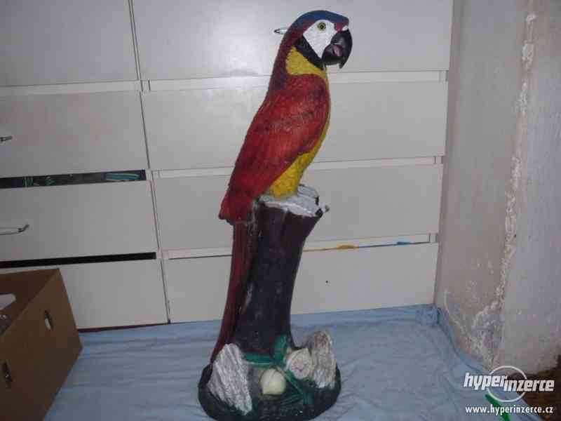Velká socha papouška - foto 5