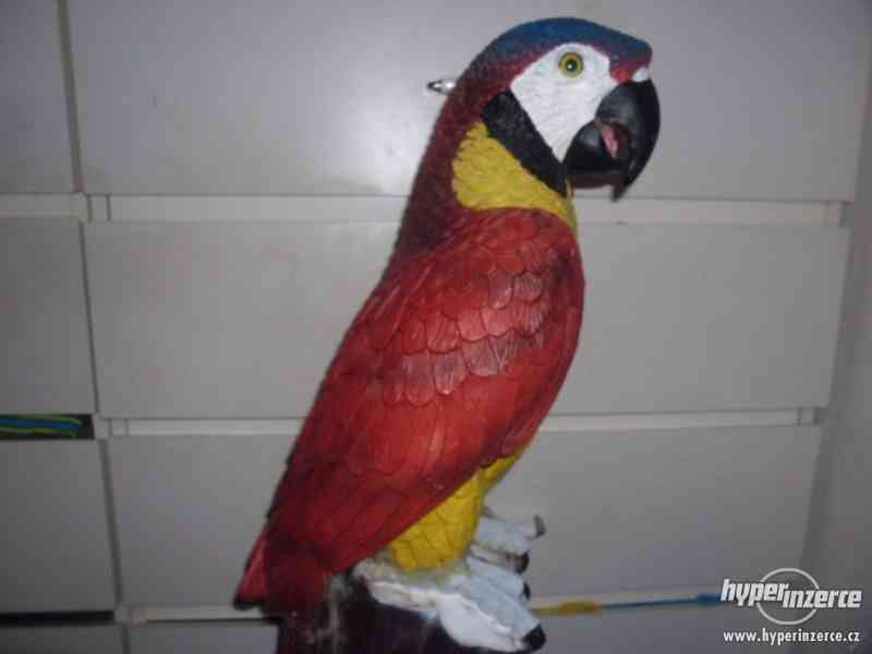 Velká socha papouška - foto 6