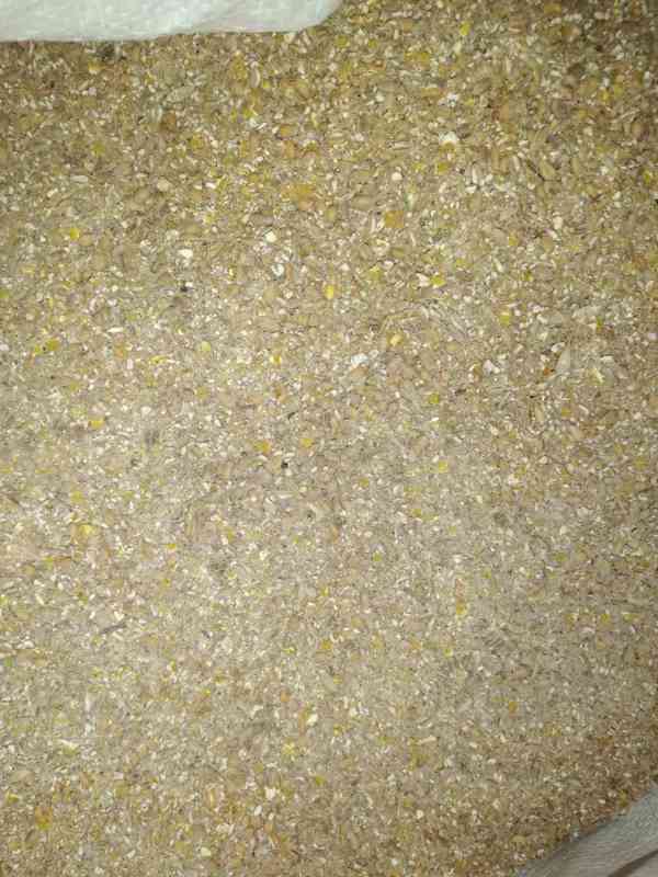 Krmivo pro, Slepice, Kaceny, Brolery, Prasata, Šrot za 8kc,  - foto 2