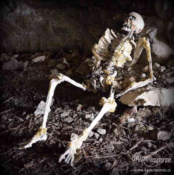 Repliky lidských lebek, kostí i celé kostry - foto 1