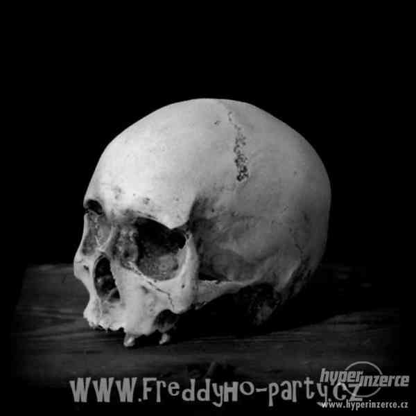 Repliky lidských lebek, kostí i celé kostry - foto 8