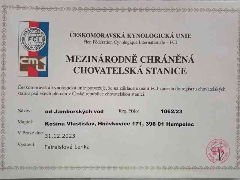 Appenzellský salašnický pes - štěňátka s PP - foto 8